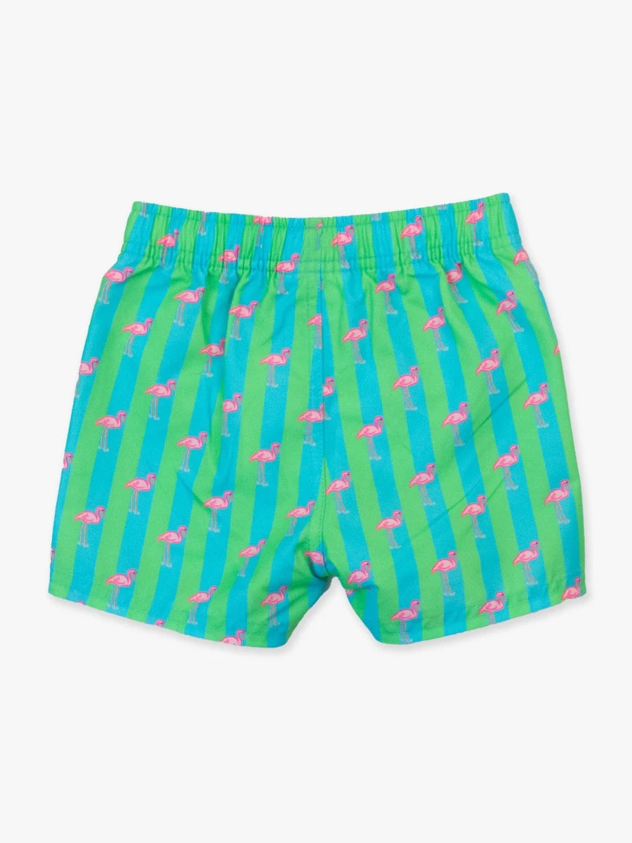 Flamingo Stripe Swim Trunks