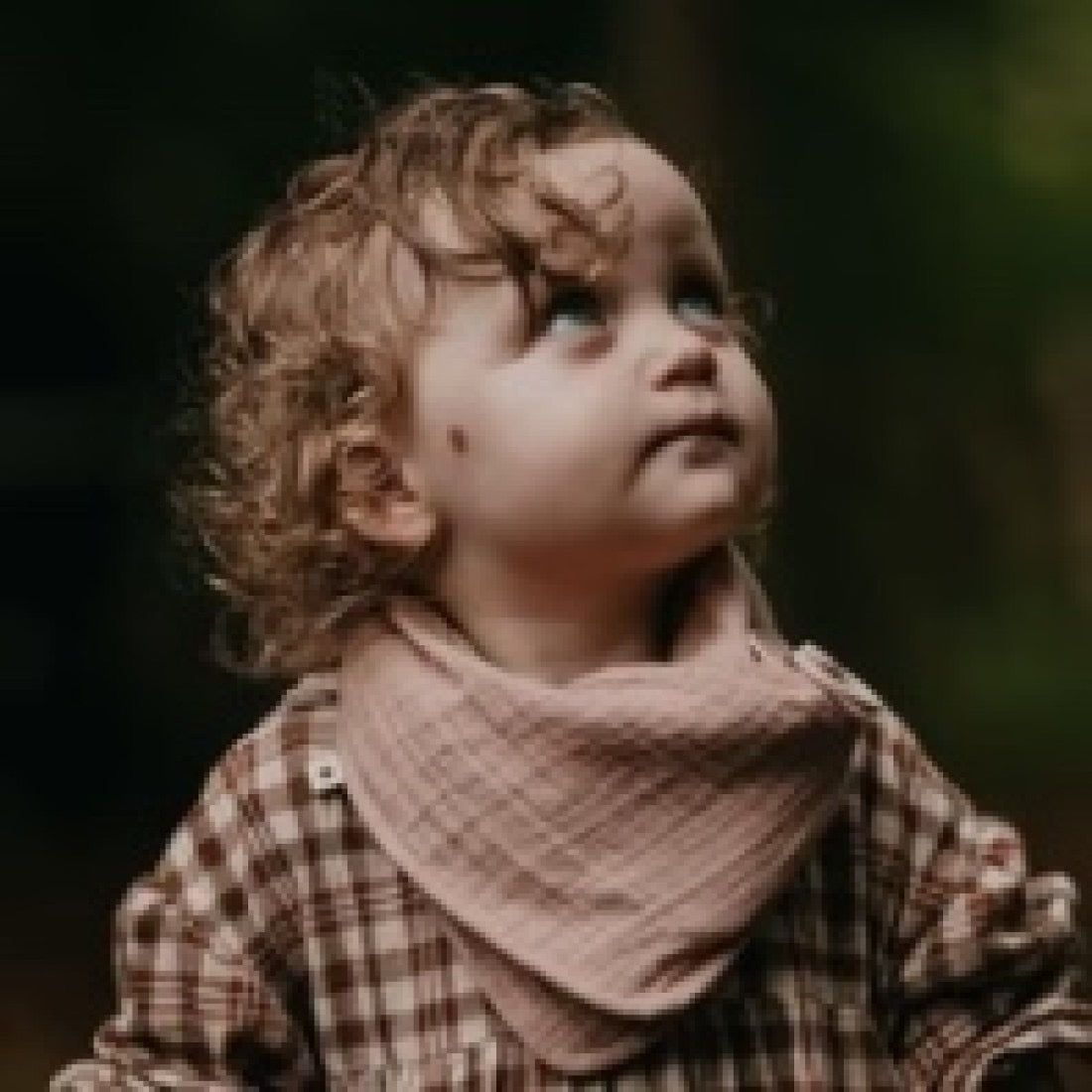 BIBS Bandana Bib