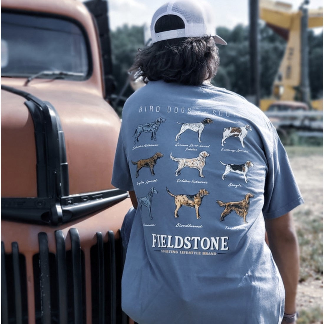 Bird Dogs Of The South