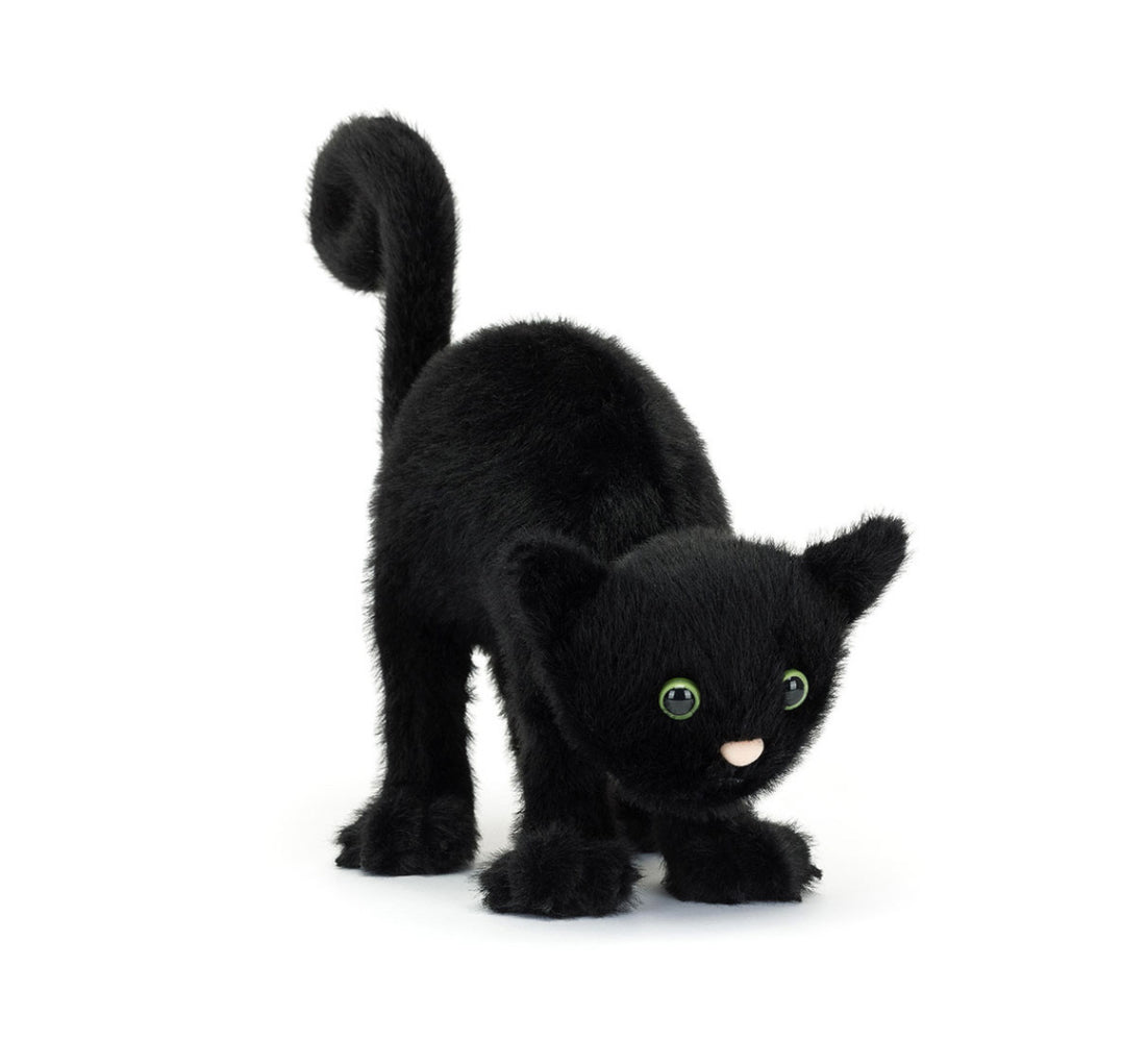Spookipaws Cat