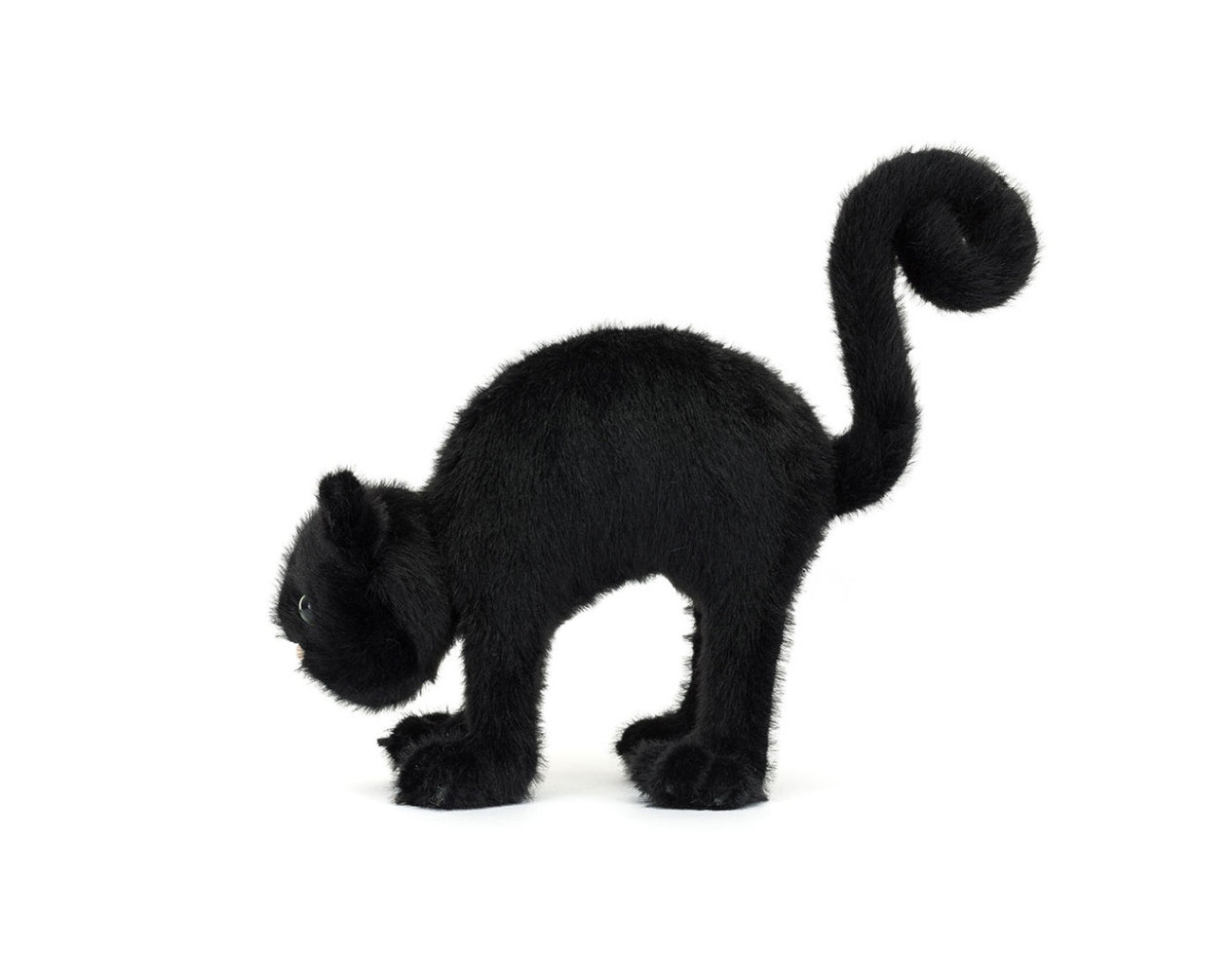 Spookipaws Cat