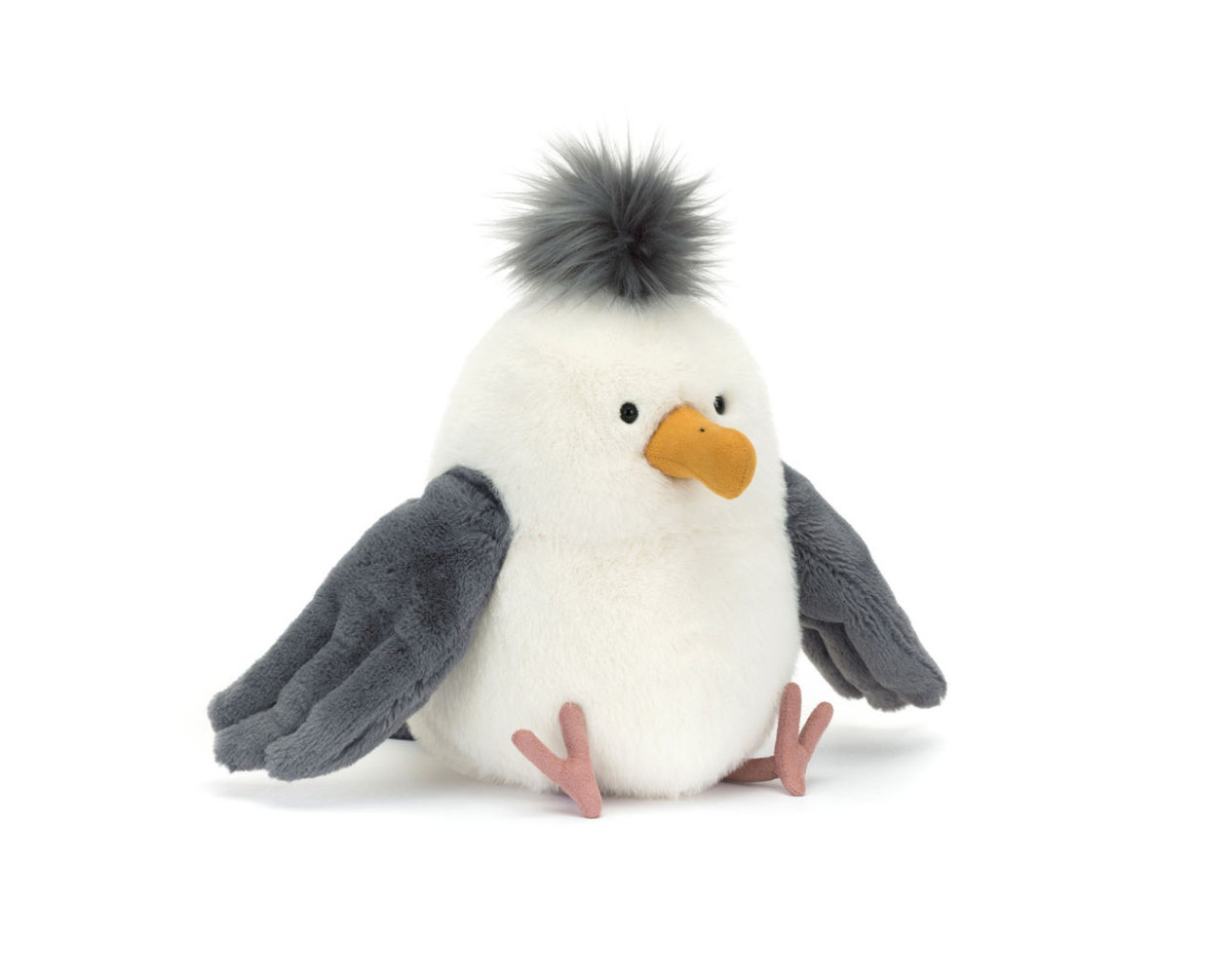 Chip Seagull