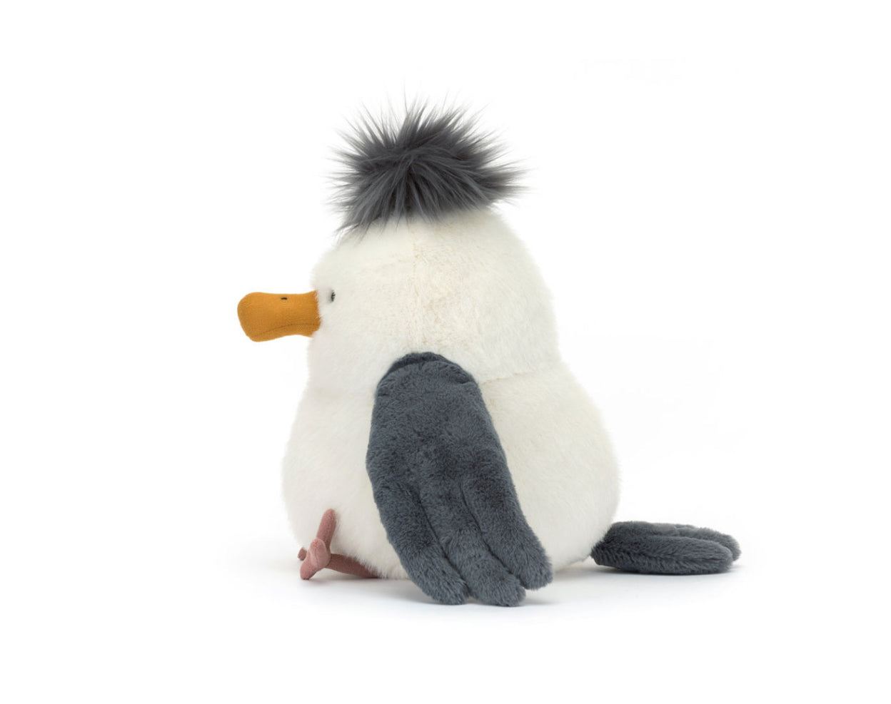 Chip Seagull