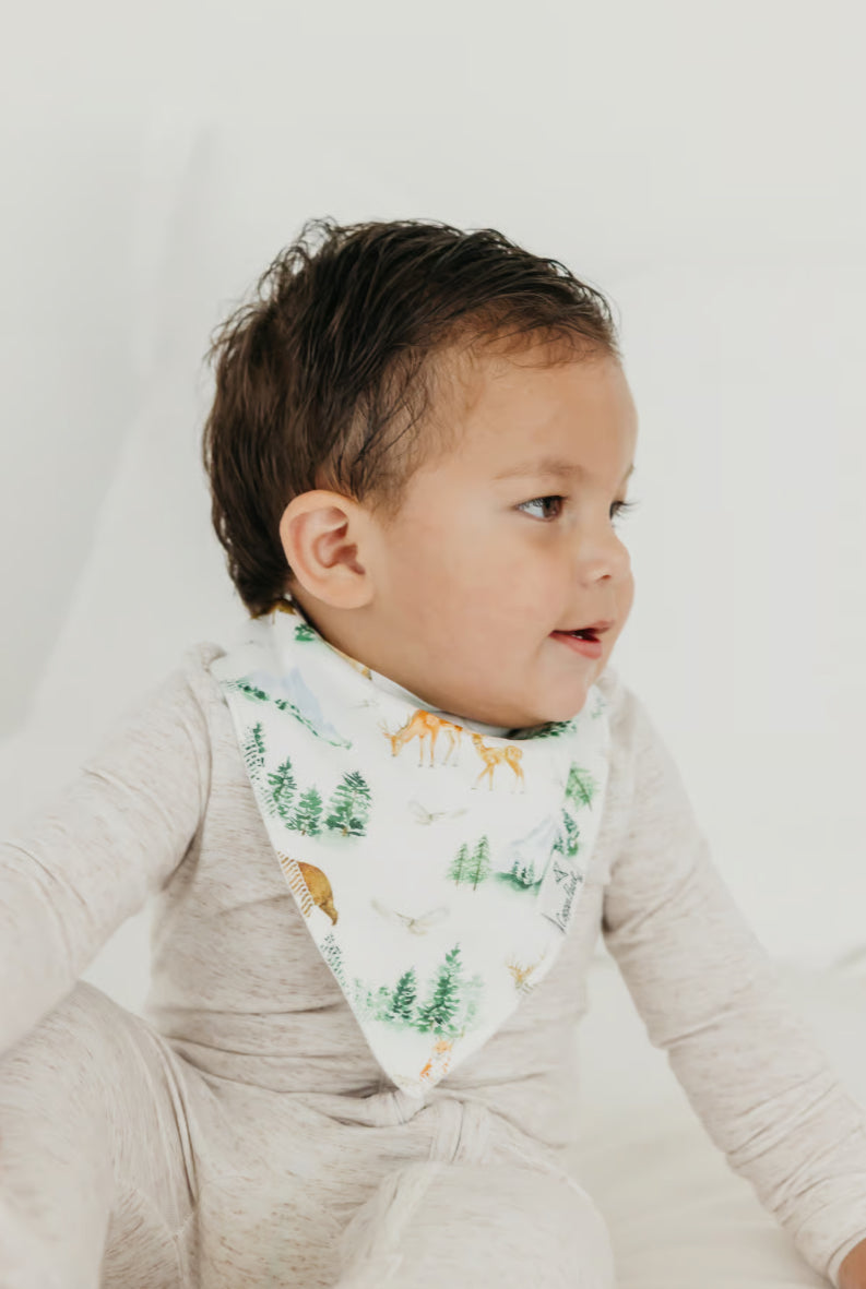 Bandana Bib Set-Grayson