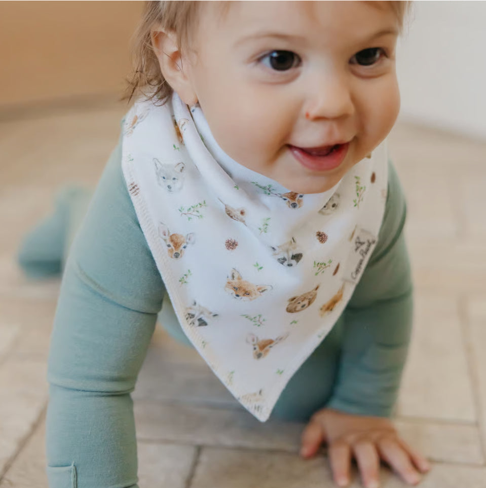 Bandana Bib Set-Wilder