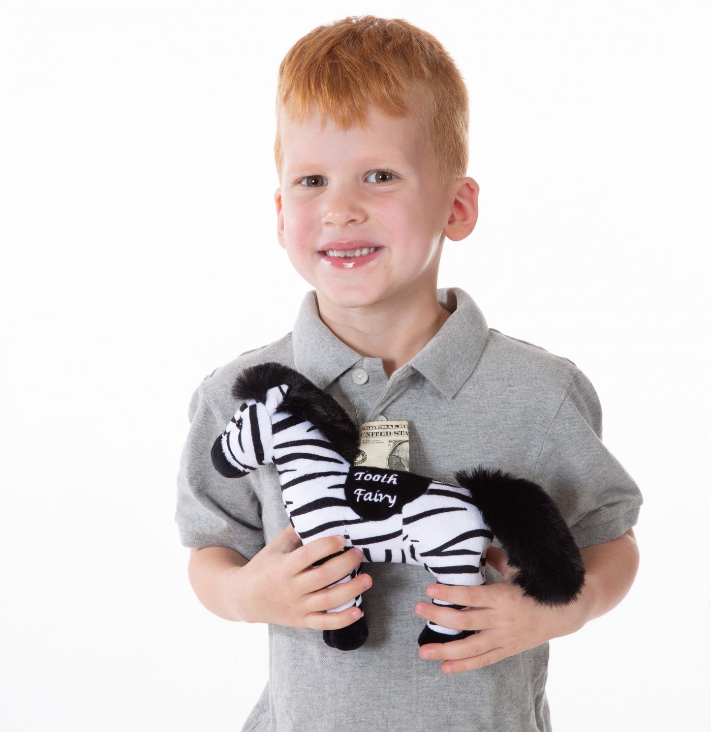 Zippy The Zebra Tooth Fairy
