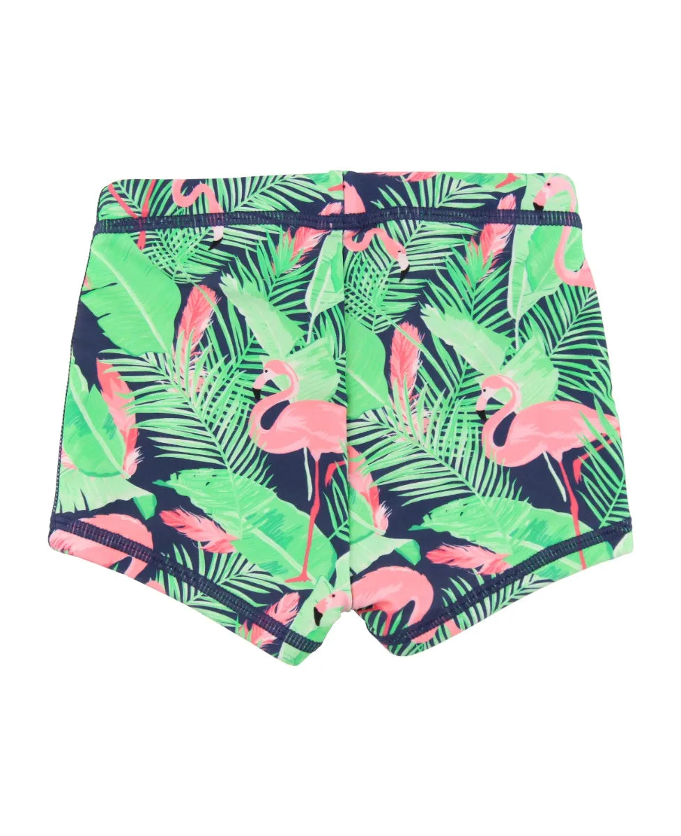 Swim Shorties-Flamingo Frenzy
