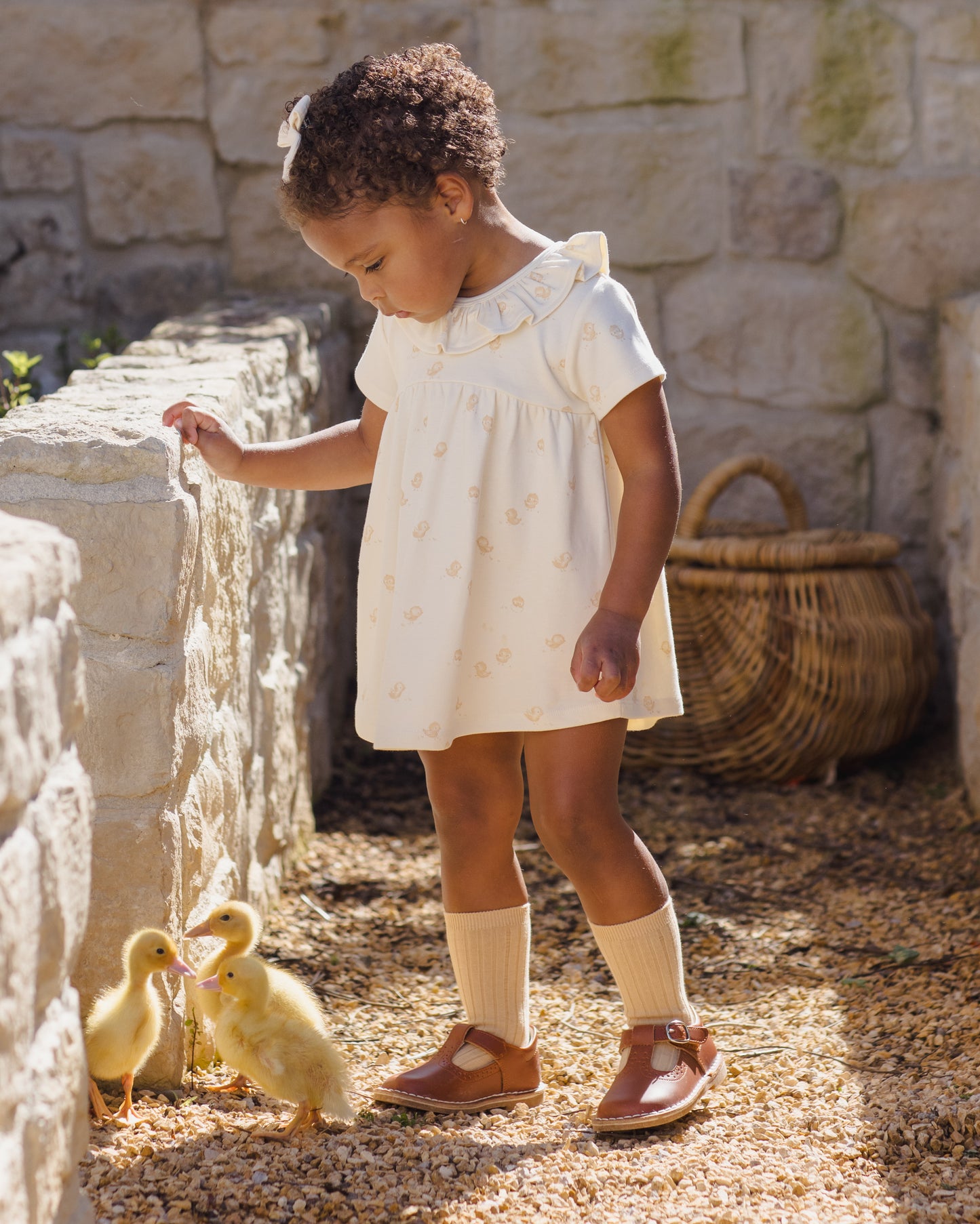 Chicks Ruffle Collar Dress