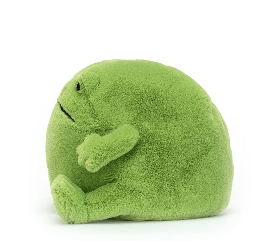 Ricky Rain Frog