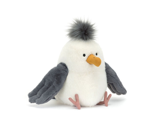 Chip Seagull