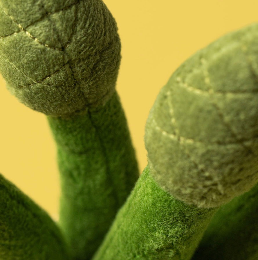 Asparagus Amuseables