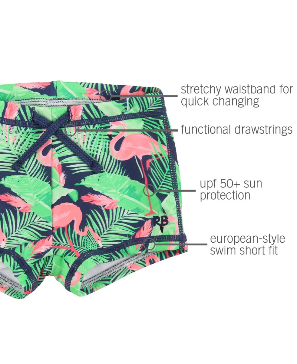 Swim Shorties-Flamingo Frenzy