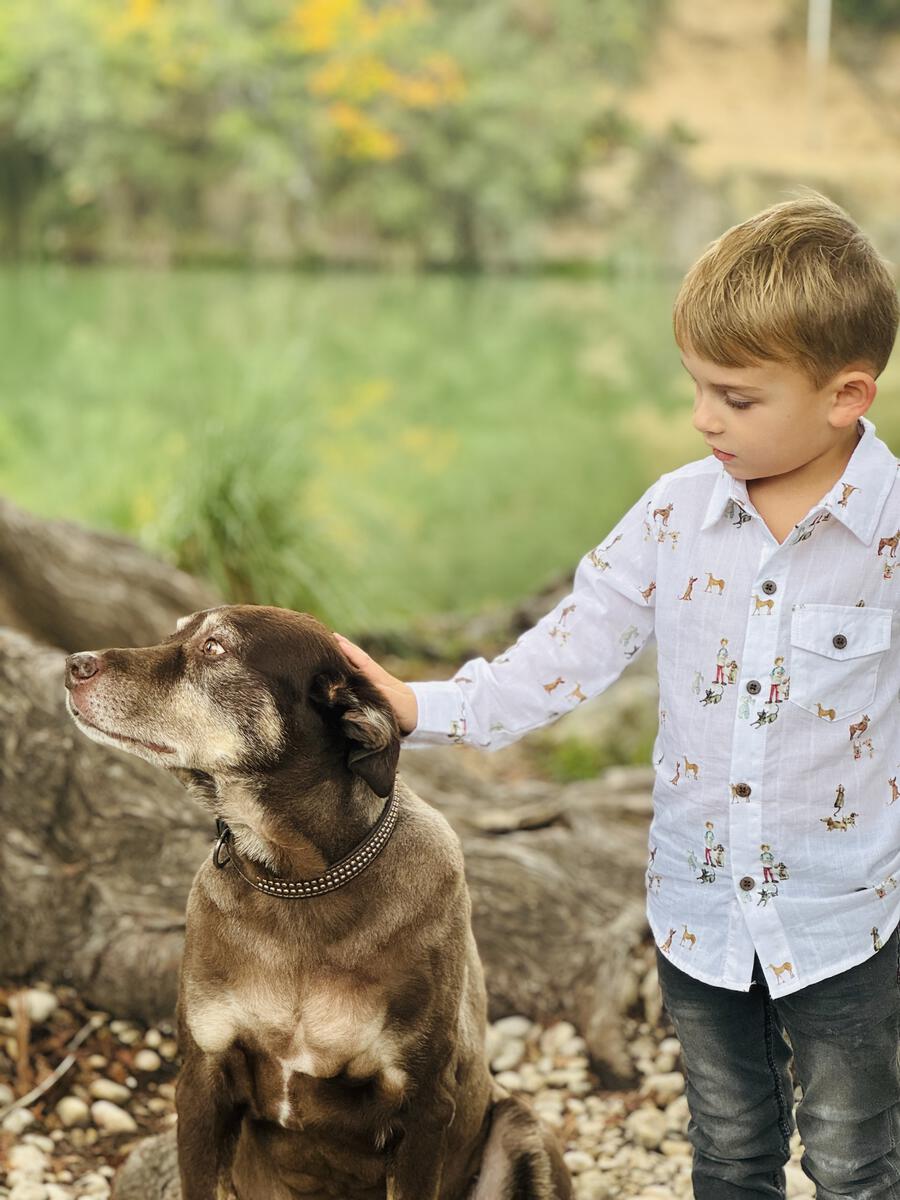 Atwood Shirt Henry Print