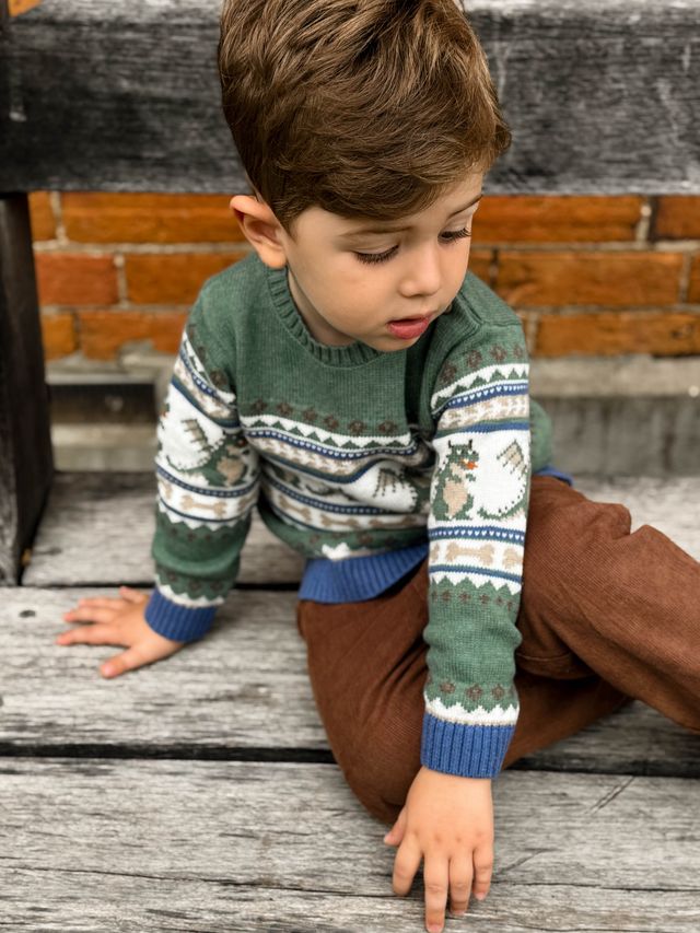 Dragon Fairisle Sweater