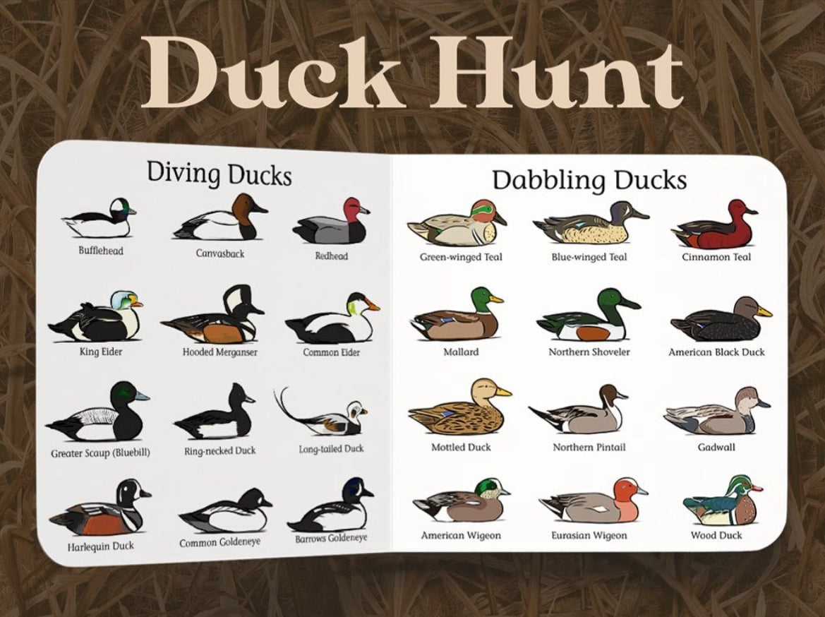 Duck Hunt Board Book