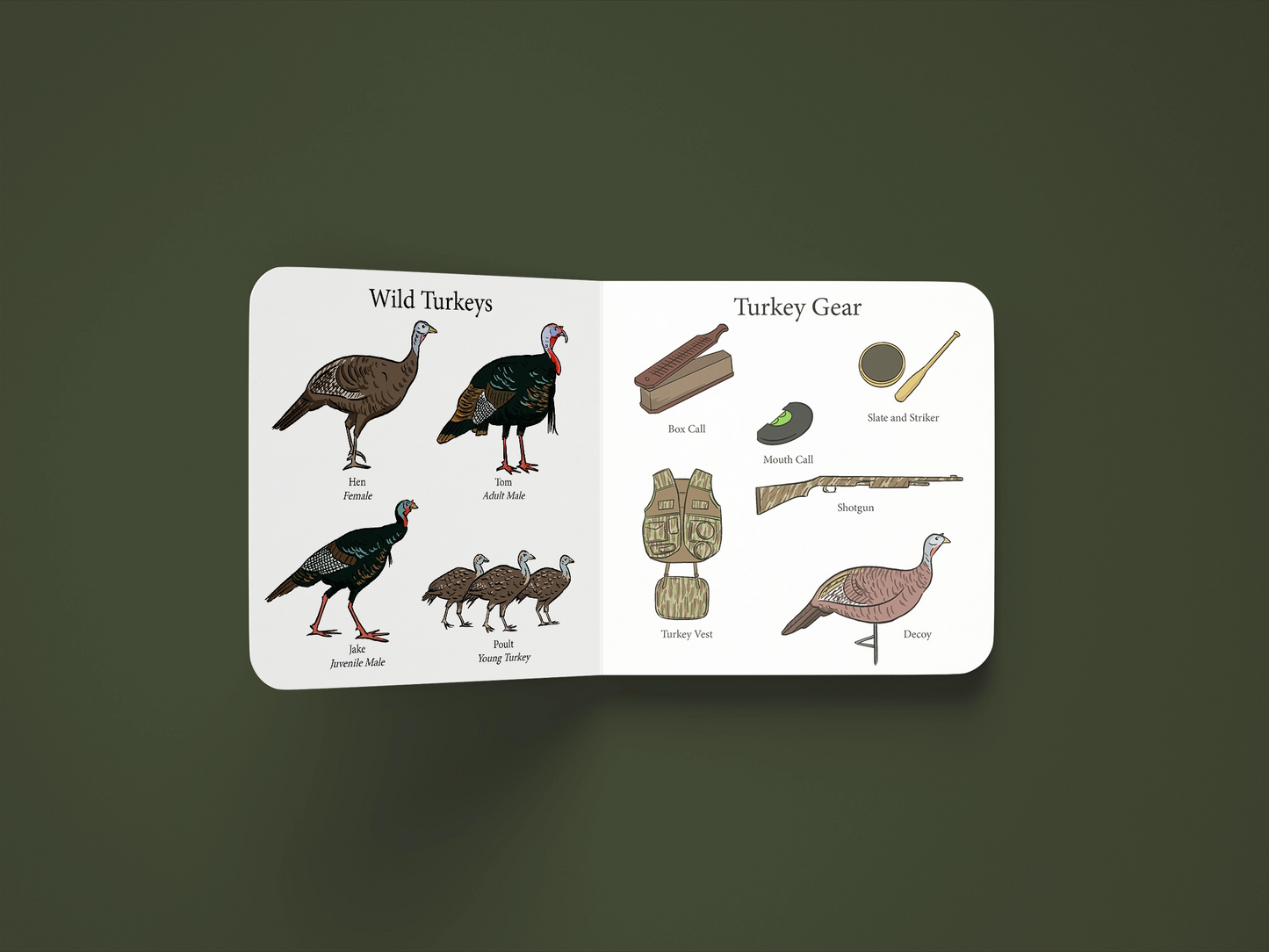 Turkey Season Board Book