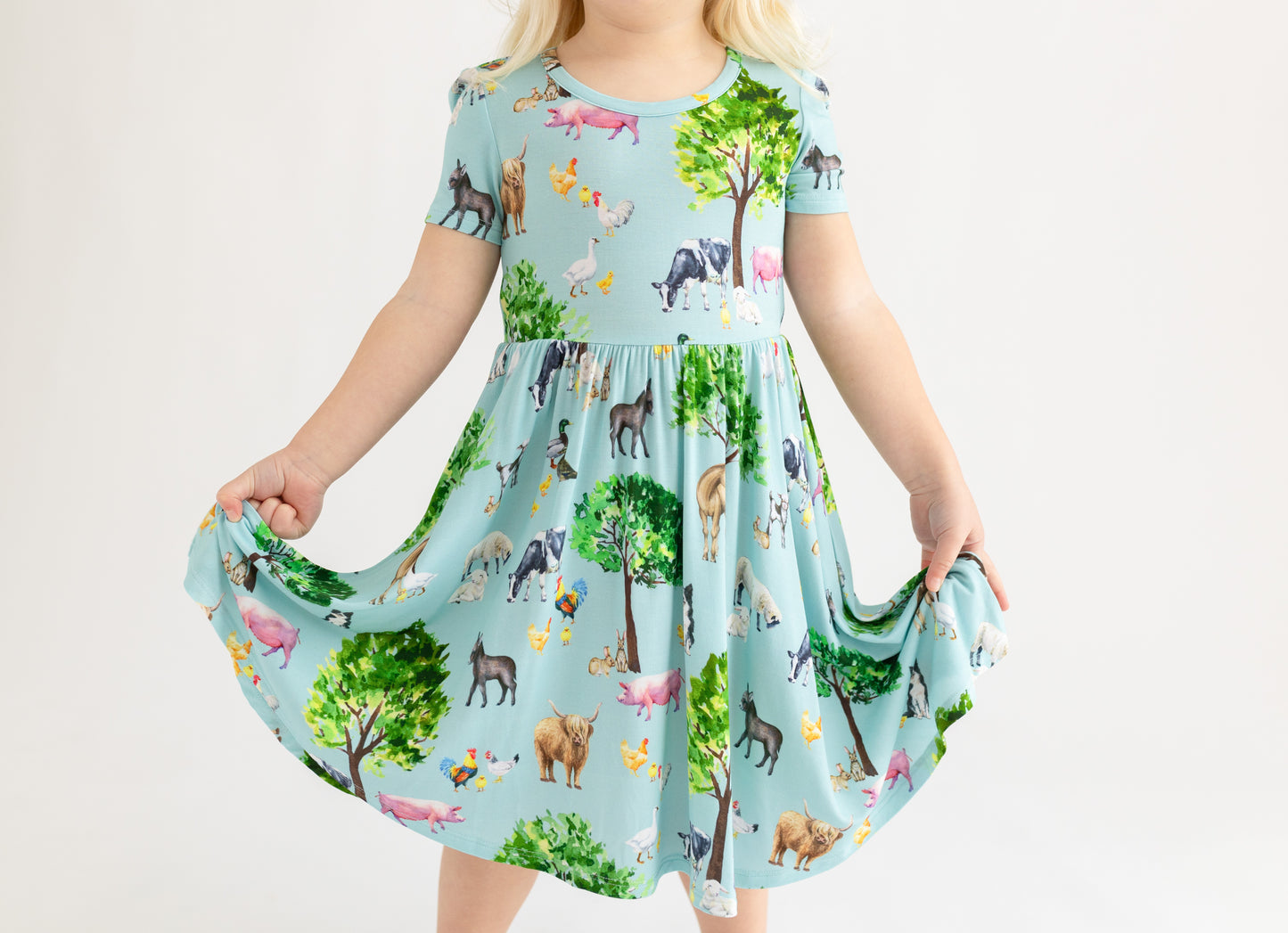 Brayden SS Twirl Dress