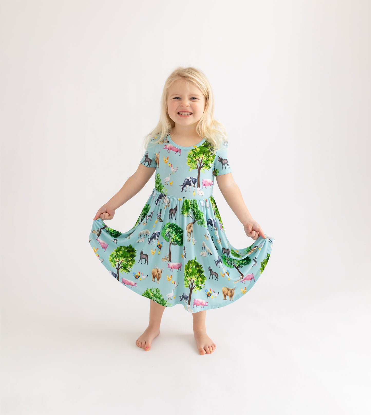 Brayden SS Twirl Dress